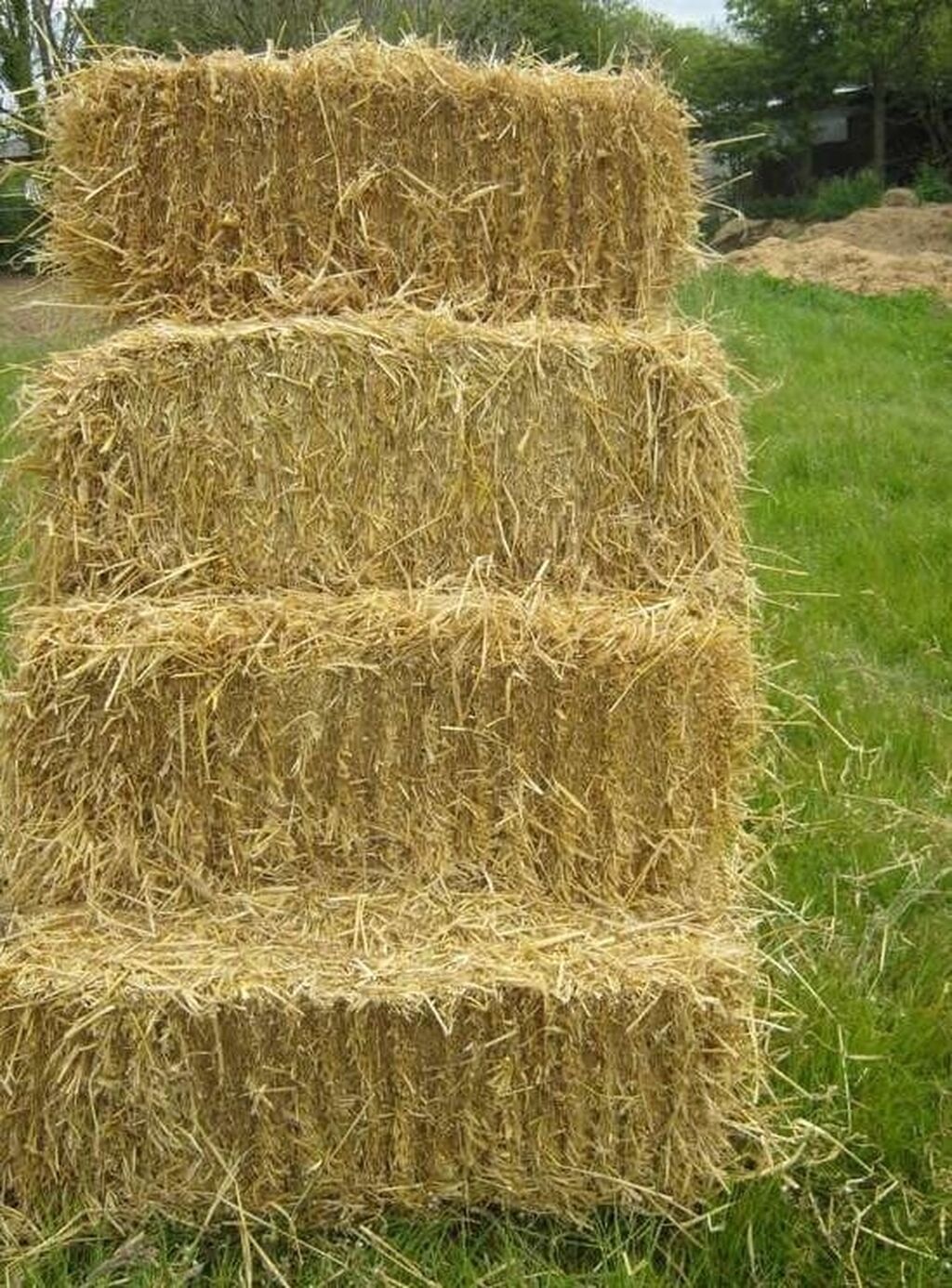 Wheat Straw -7d-packaging